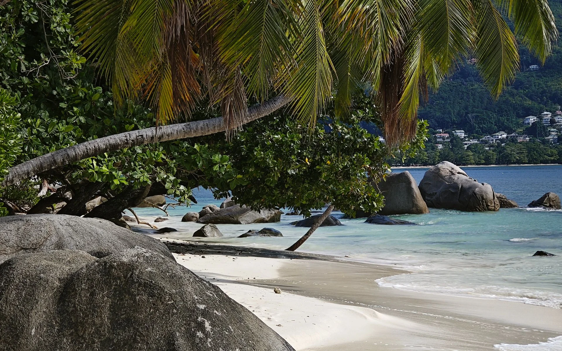 Palmuja ja kallioita Beau Vallonin rannalla