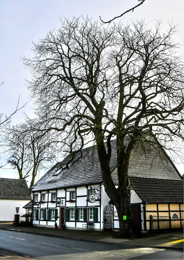 BookNoFees: Ravintola – Gaststätte Ziegler – Lippetal – Ziegler-ravintola, kuva 1