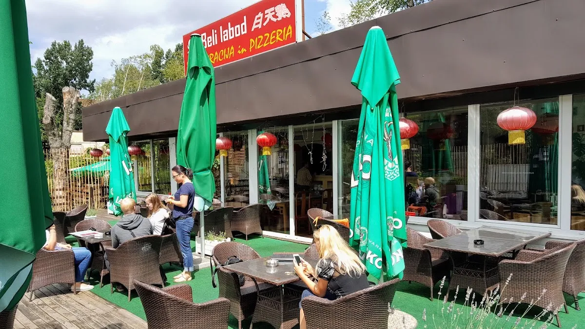 BookNoFees: Ravintola – Beli Labod – Ljubljana – Valkoinen joutsen, kuva 1