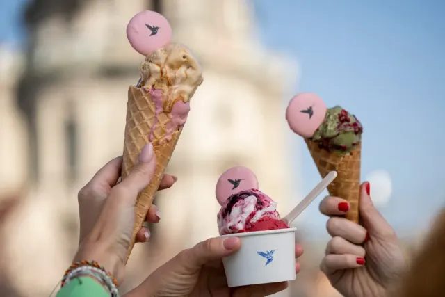 BookNoFees: Kahvila – Chez Dodo – Budapest – Dodo-liikkeessä, kuva 2