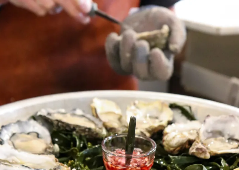 BookNoFees: Ravintola – Brut de Mer – Amsterdam – Tuore meren antima, kuva 1