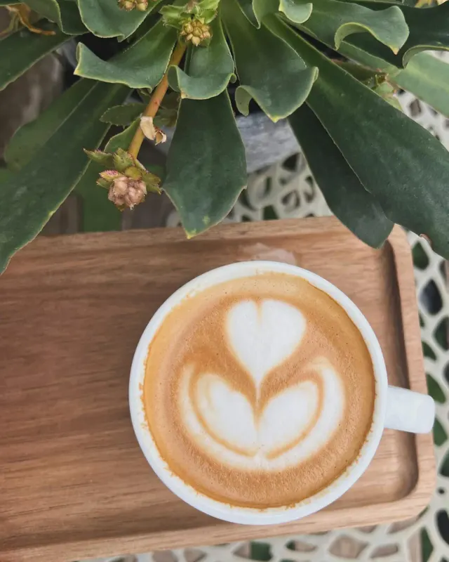 BookNoFees: Kahvila – Cafe Kachel – Vienna – Cafe Kachel, kuva 2