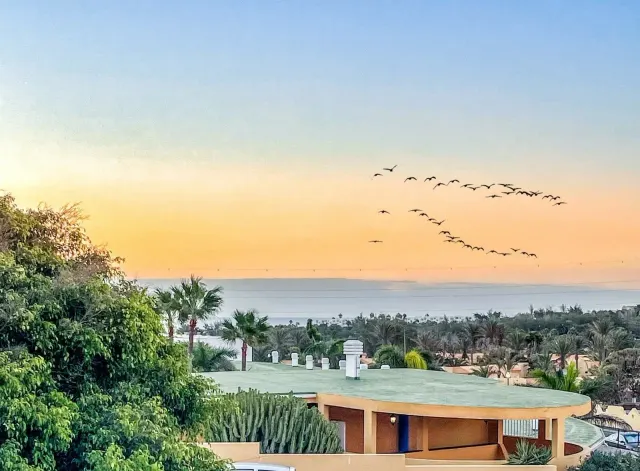 BookNoFees: semesterboende i Costa Calma, Fuerteventura – Villa med havsutsikt i Costa Calma