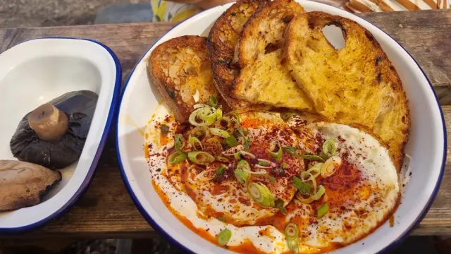 BookNoFees: Kafé – Brown And Green Life – London – Brunt och grönt liv, bild 2