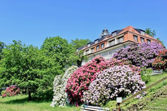 BookNoFees: Semesterlägenhet Natur och konst, Dresden, Sächsische Schweiz – Dresden